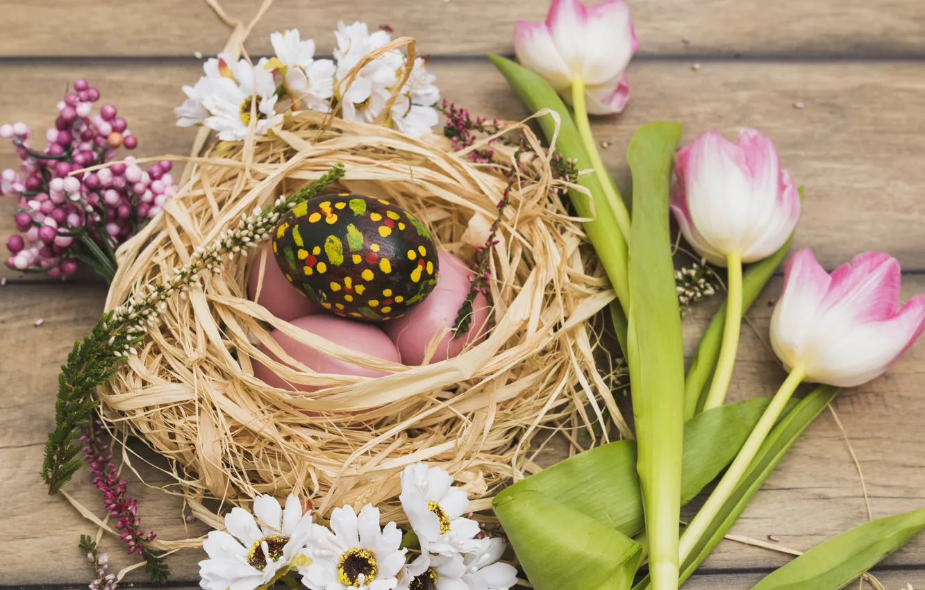 Фото обои Цветы, Тюльпаны, Пасха, Яйца, Гнездо