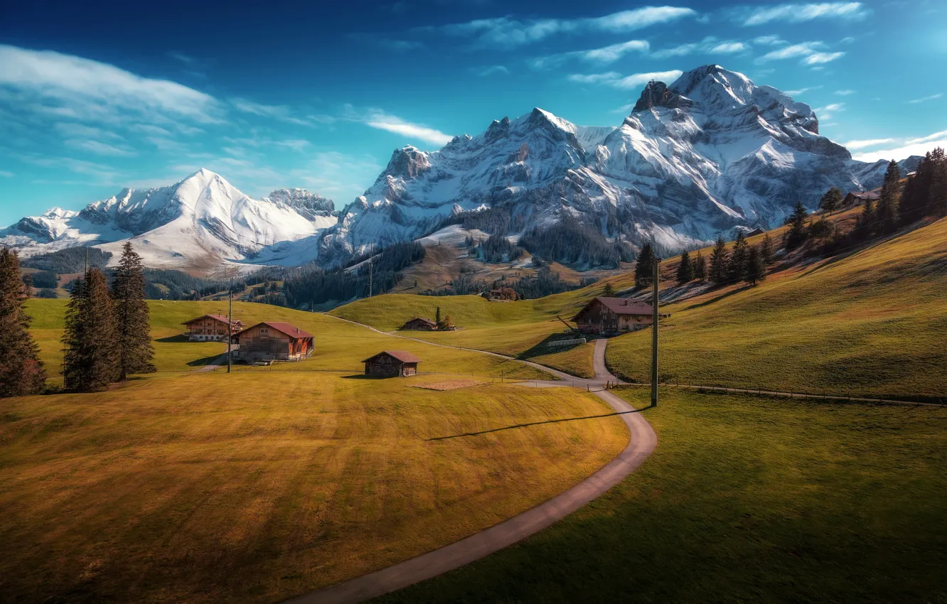 Фото обои дорога, деревья, горы, Швейцария, деревня, домики, Switzerland, луга