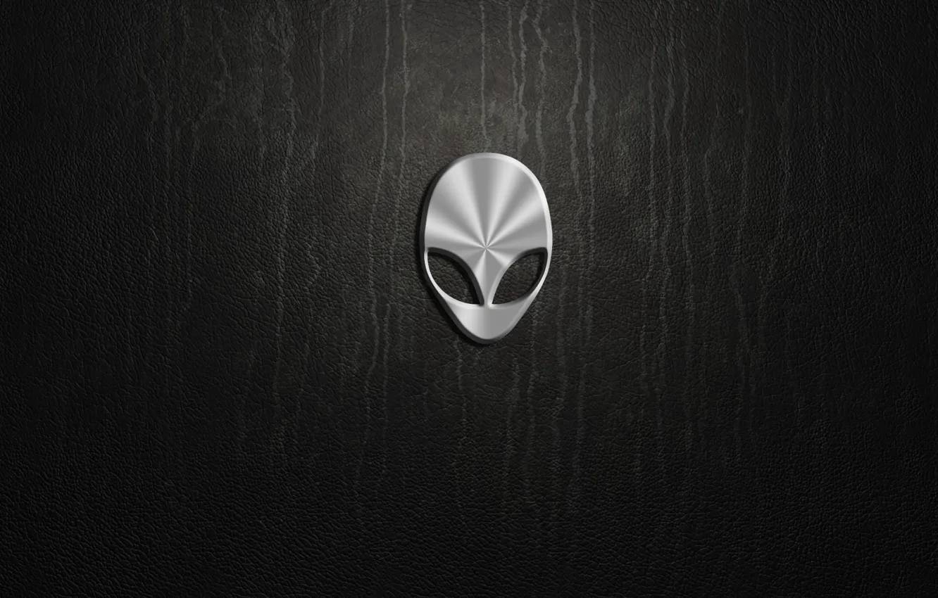 Фото обои silver, logo, alienware