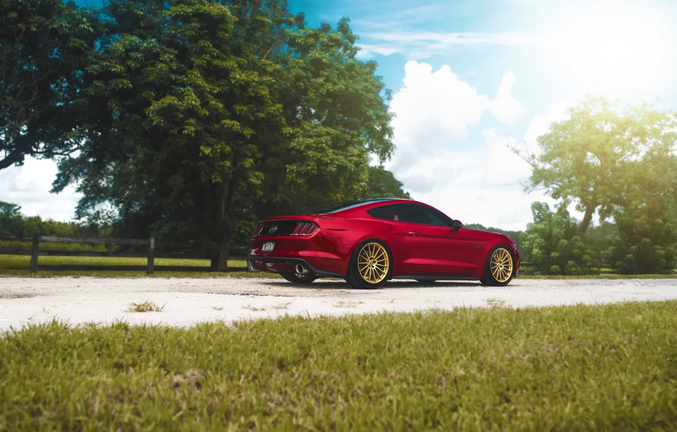 Фото обои Mustang, Ford, Muscle, Light, Red, Car, Sun, Rear