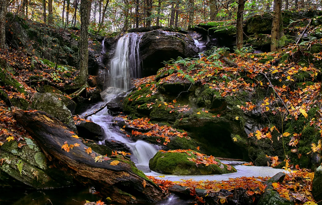 Фото обои осень, лес, природа, река, водопад