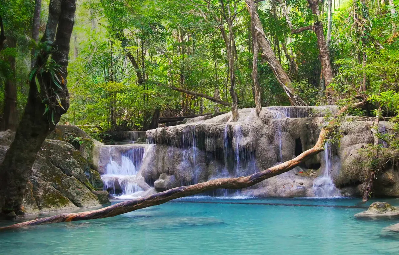 Фото обои лес, река, водопад, Таиланд, Thailand, Thailand Waterfall Erawan National Park