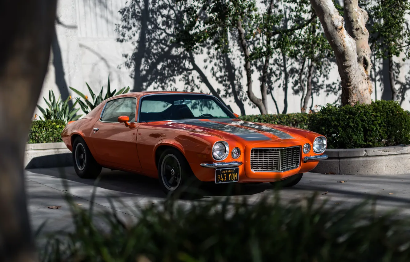 Фото обои Chevrolet, Camaro, 1970, Z28/RS