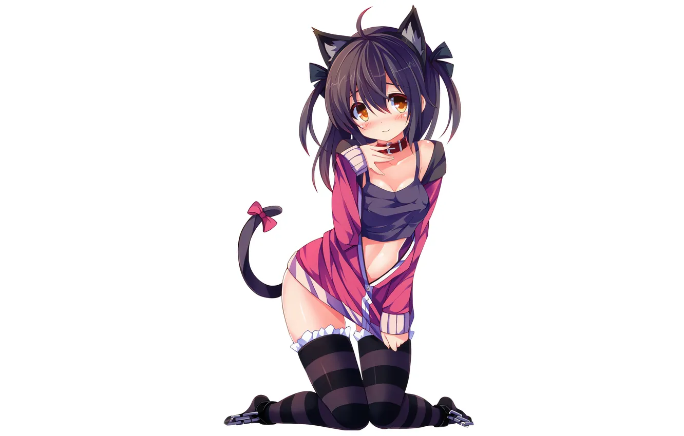 Фото обои girl, sexy, cleavage, thighhighs, long hair, legs, boobs, animal ears
