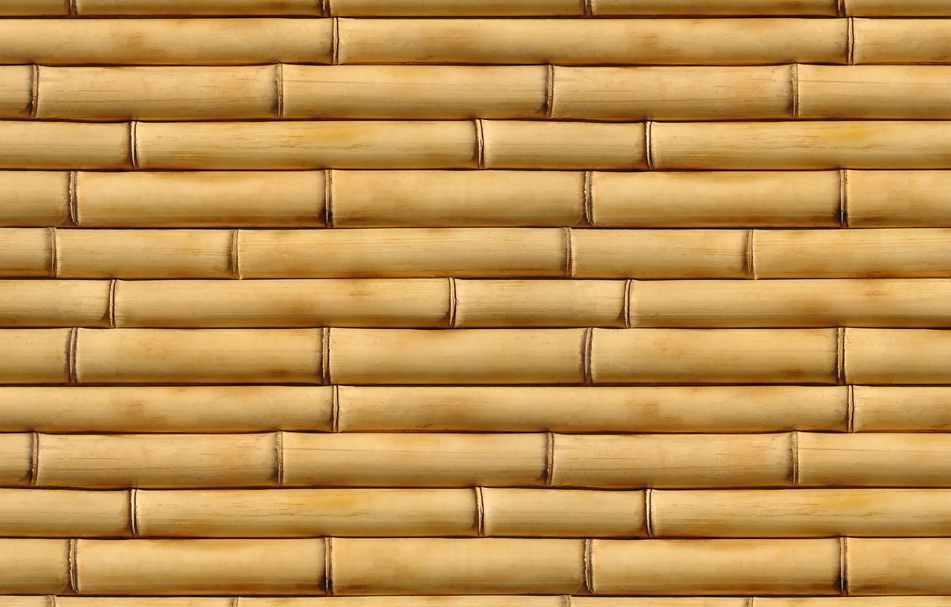 Фото обои yellow, pattern, bamboo
