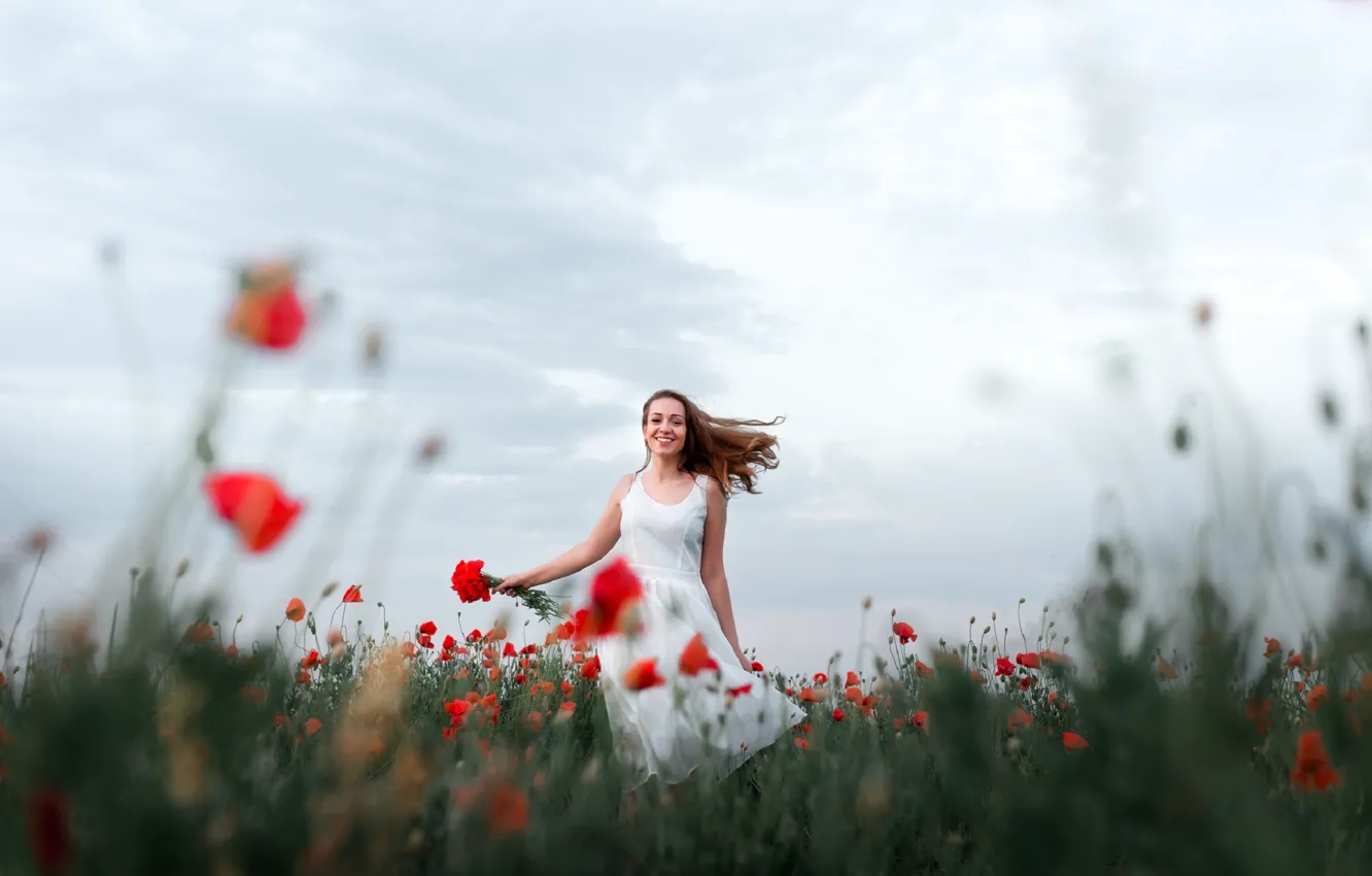 Фото обои поле, лето, девушка, цветы, поза, маки, платье, Ларина Юлия