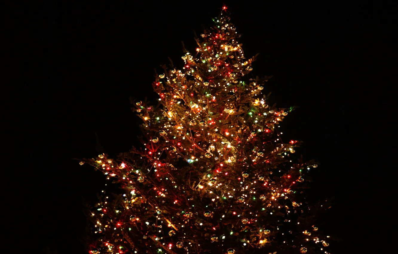 Фото обои украшения, обои, елка, новый год