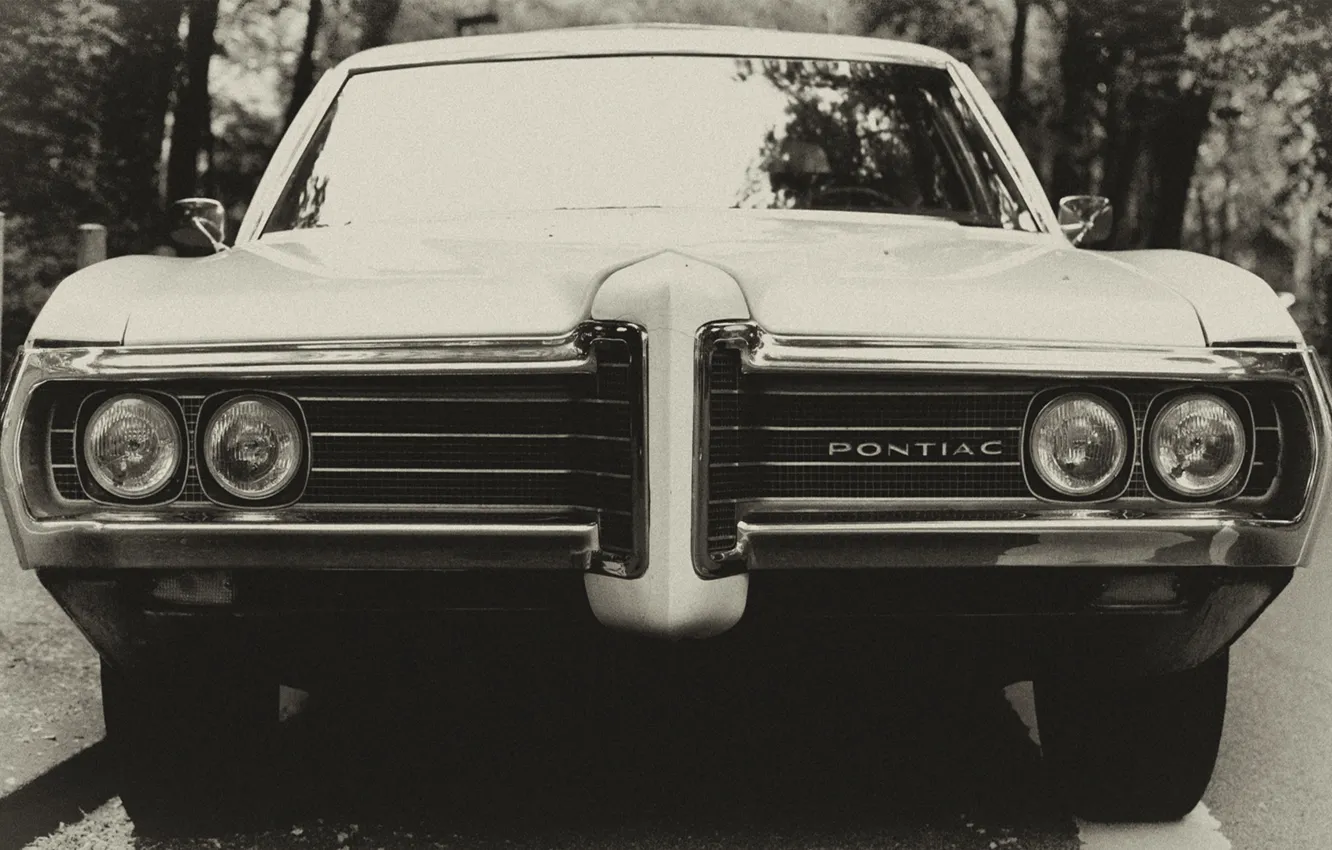 Фото обои Pontiac, front, black and white, vehicle, transport, b/w