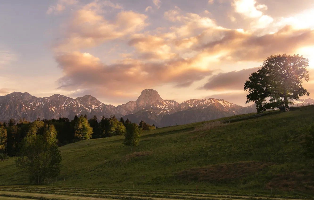 Фото обои горы, природа, утро