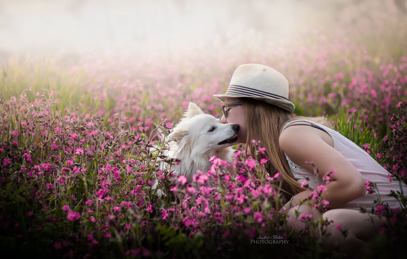 Фото обои девушка, цветы, собака, весна
