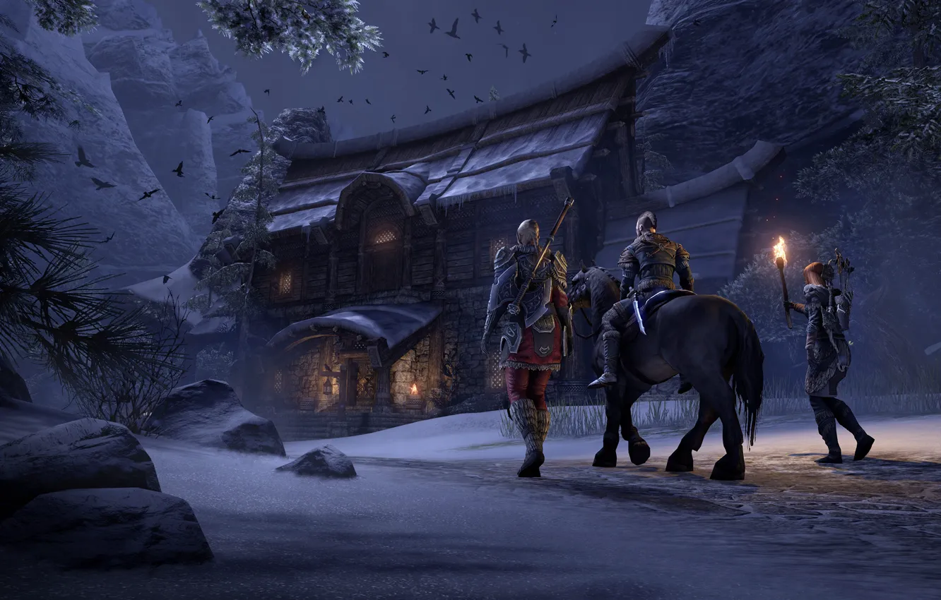 Фото обои ночь, дом, люди, игра, The Elder Scrolls Online, 3д графика