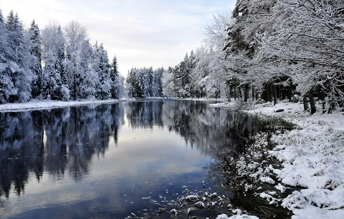 Фото обои зима, снег, деревья, река, landscape, winter, snow