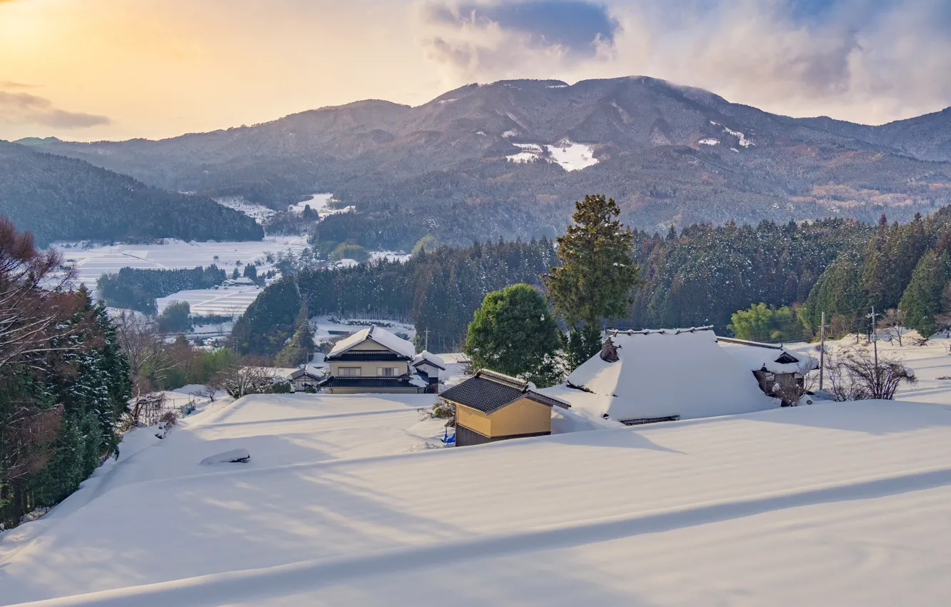 Фото обои зима, снег, деревья, горы, дом, Япония