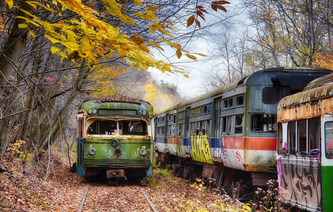 Фото обои Pennsylvania, Head On, Trolley Graveyard