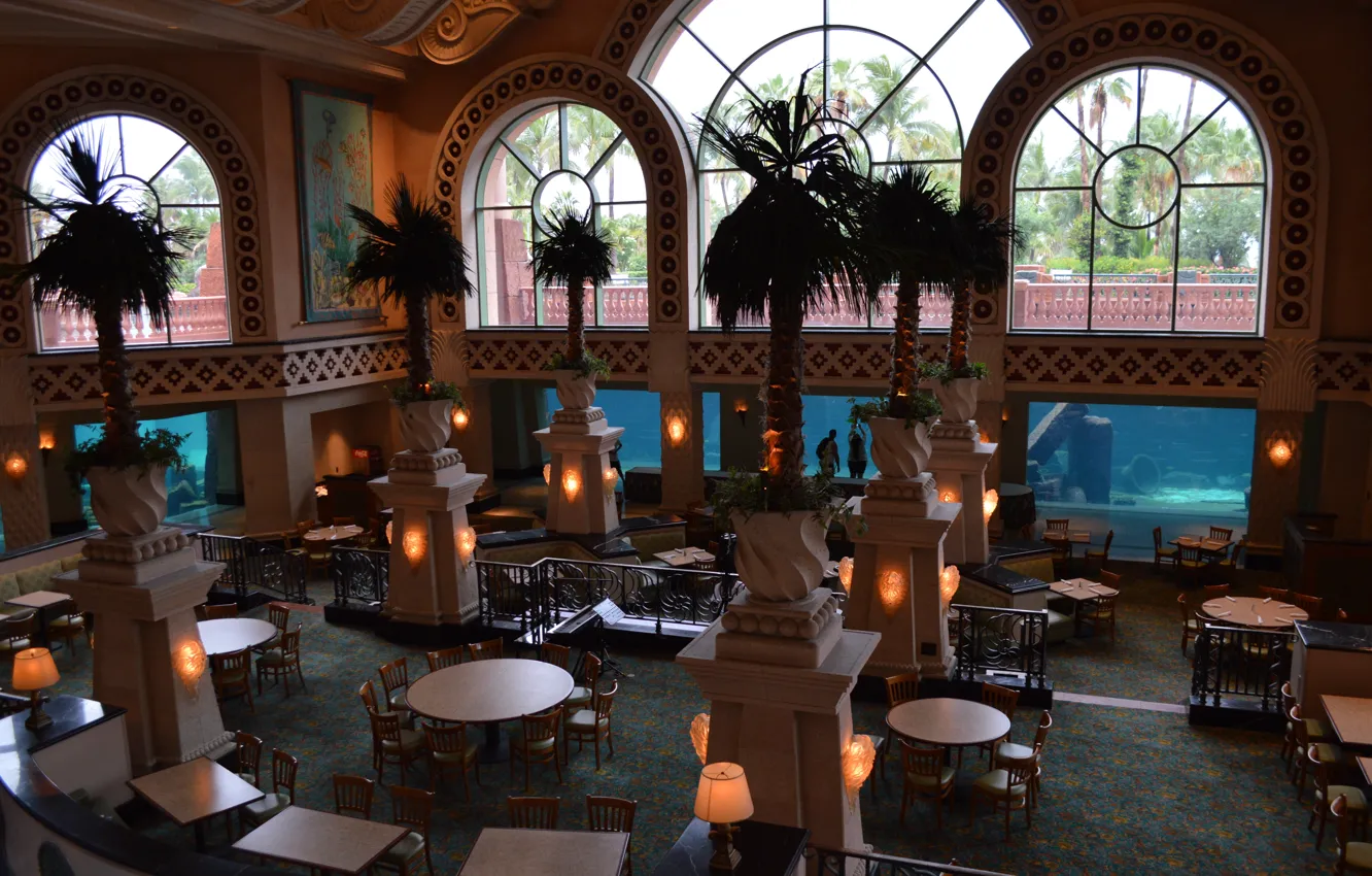 Фото обои дизайн, стиль, пальмы, аквариум, интерьер, помещение