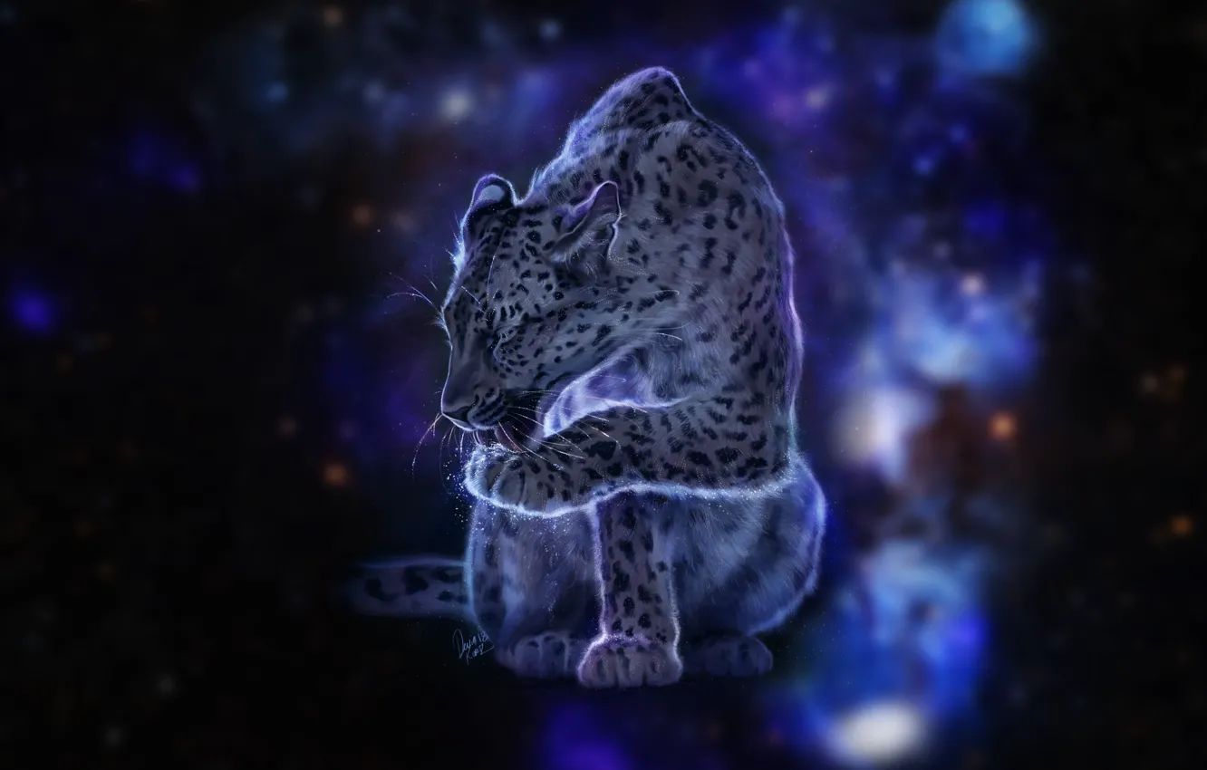 Фото обои кошка, космос, звезды, леопард, окрас