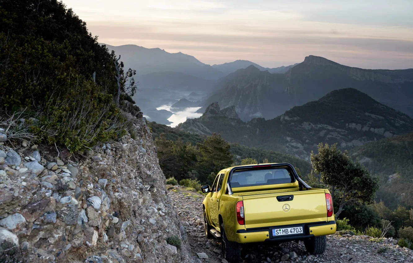 Фото обои пейзаж, горы, жёлтый, растительность, Mercedes-Benz, пикап, корма, 2017