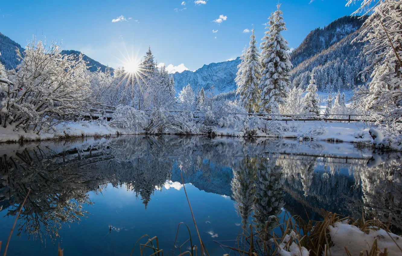 Фото обои зима, небо, солнце, свет, снег, деревья, природа