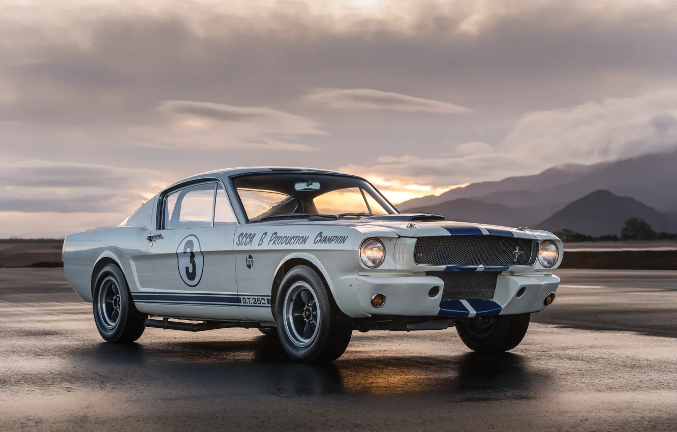 Фото обои Mustang, Ford, Shelby, 1965, GT350, Shelby GT350