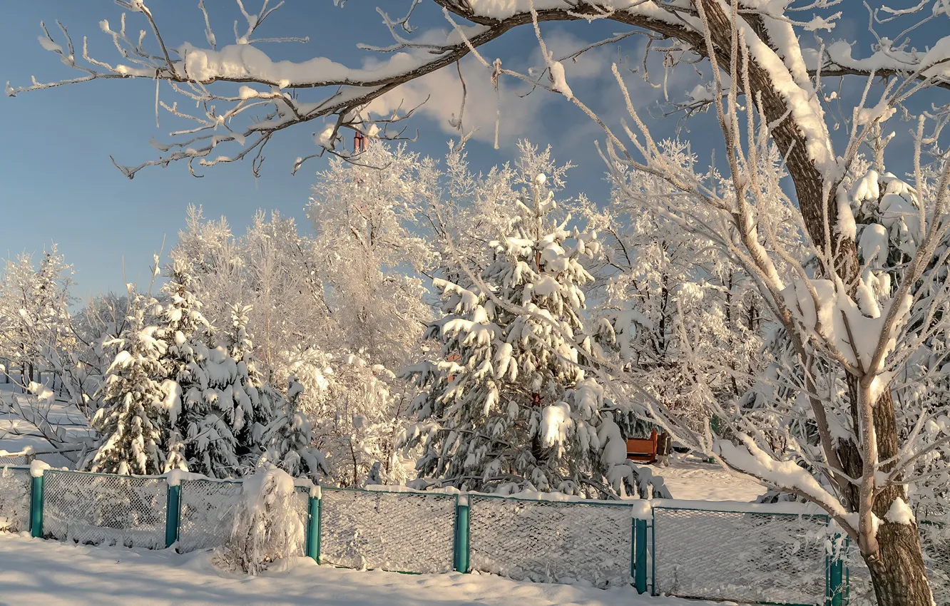 Фото обои зима, снег, деревья, природа, ограждение, Вячеслав Бирюков