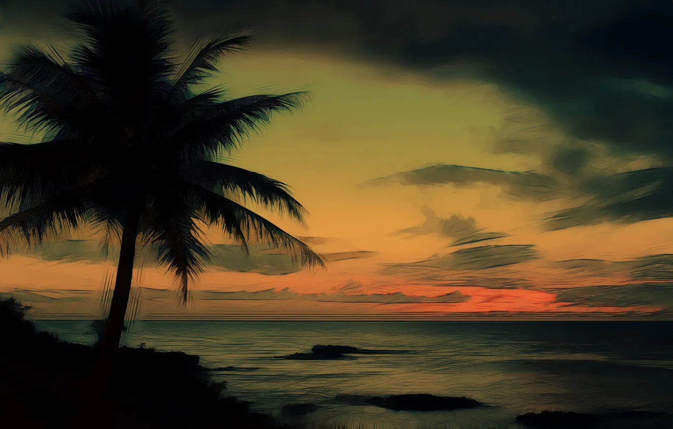 Фото обои небо, пальма, океан, берег