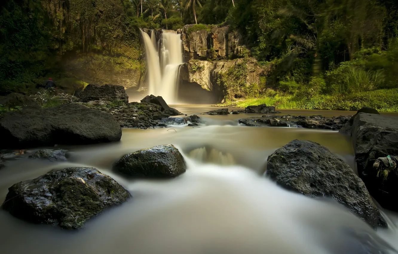 Фото обои река, камни, скалы, водопад, джунгли