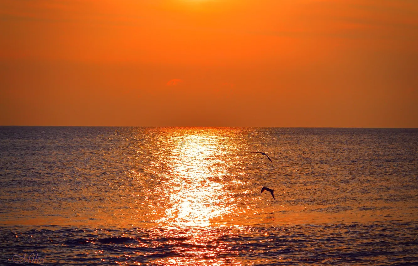 Фото обои Закат, Море, Sunset, Sea