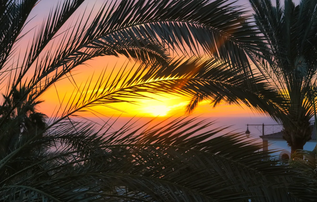 Фото обои Закат, Море, Вечер, Пальмы, Sunset, Evening, Sea, Palm Trees