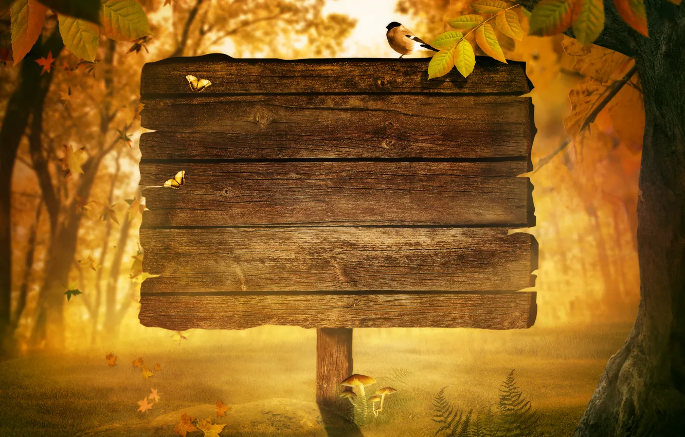 Фото обои осень, листья, дерево, табличка, птичка, папоротник