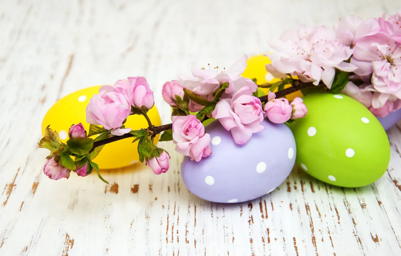 Фото обои цветы, яйца, весна, colorful, Пасха, happy, wood, pink