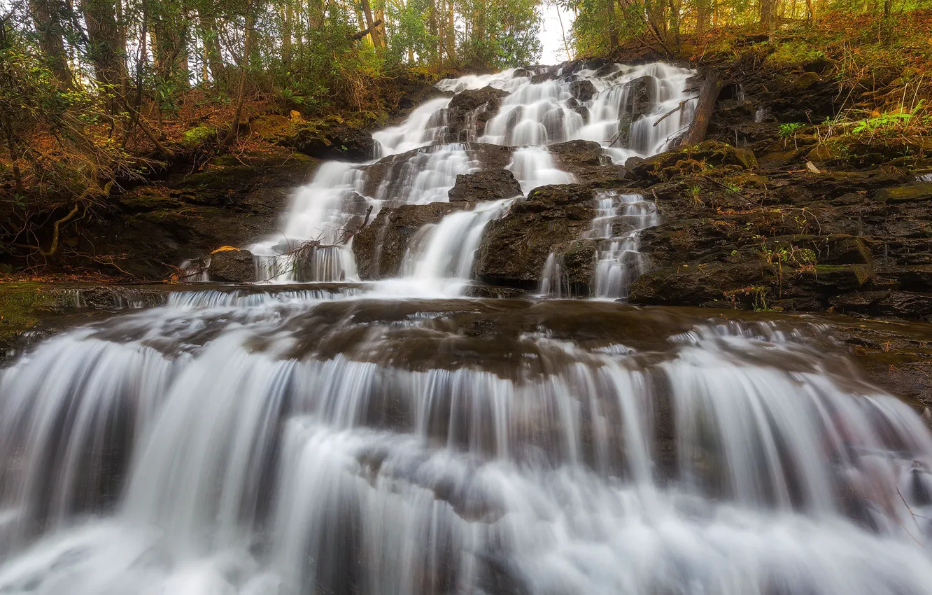 Фото обои осень, лес, камни, растительность, водопад, поток, каскад