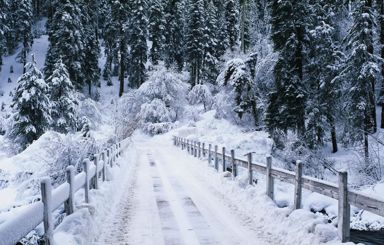 Фото обои зима, дорога, лес, речка, мостик