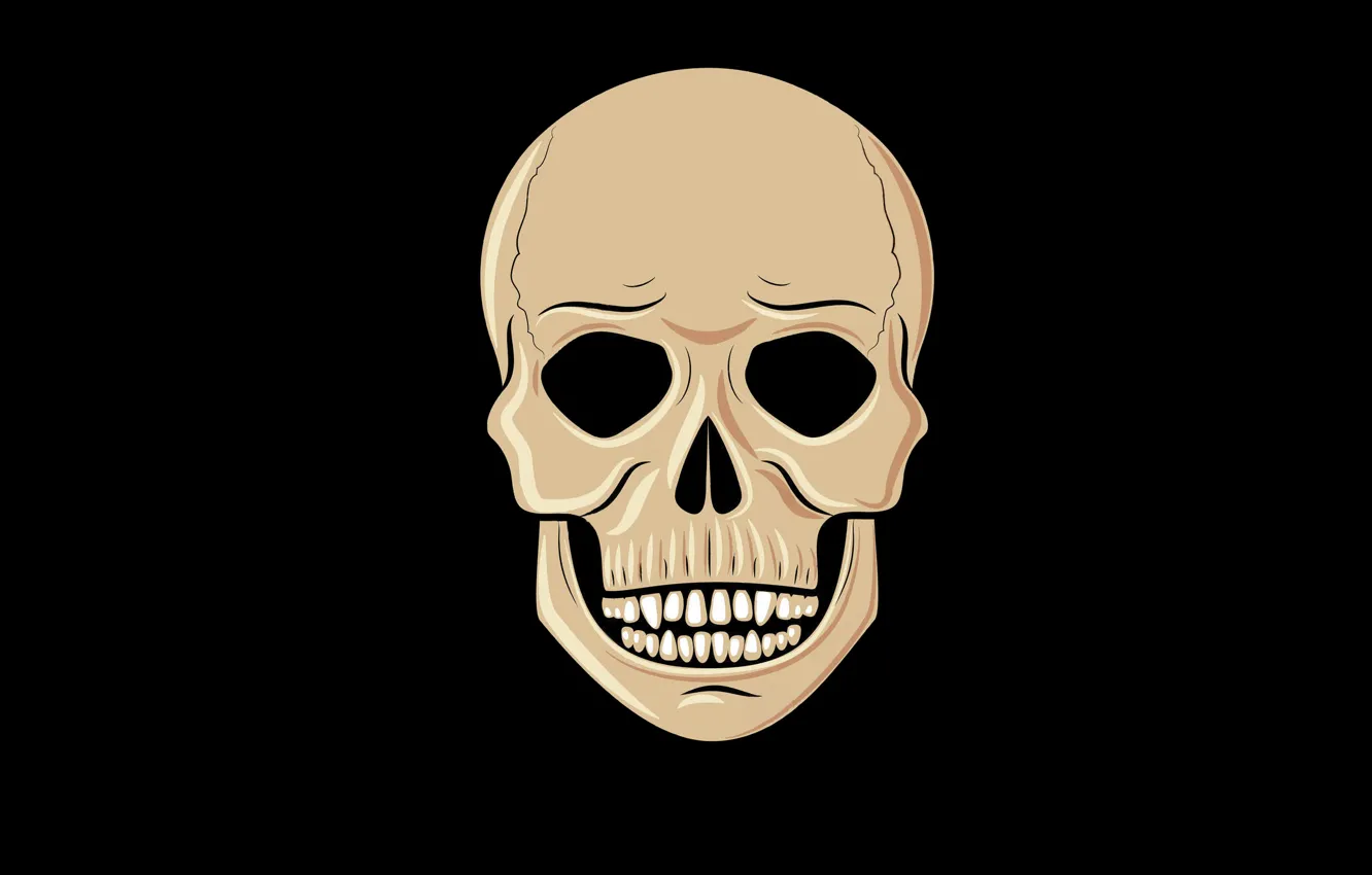 Фото обои череп, минимализм, голова, скелет, skull, черный фон