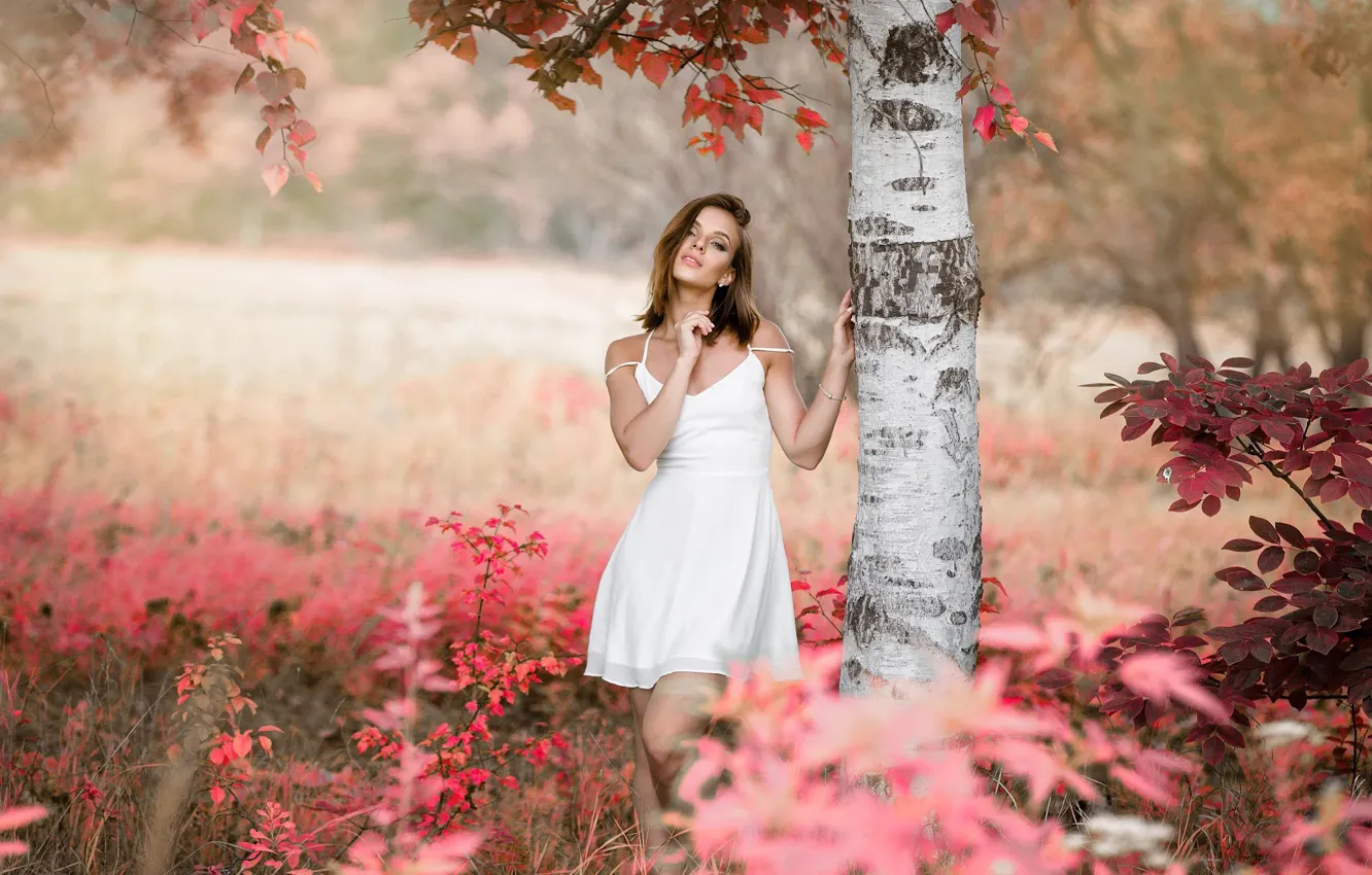 Фото обои осень, девушка, дерево, платье, Денис Третьяков