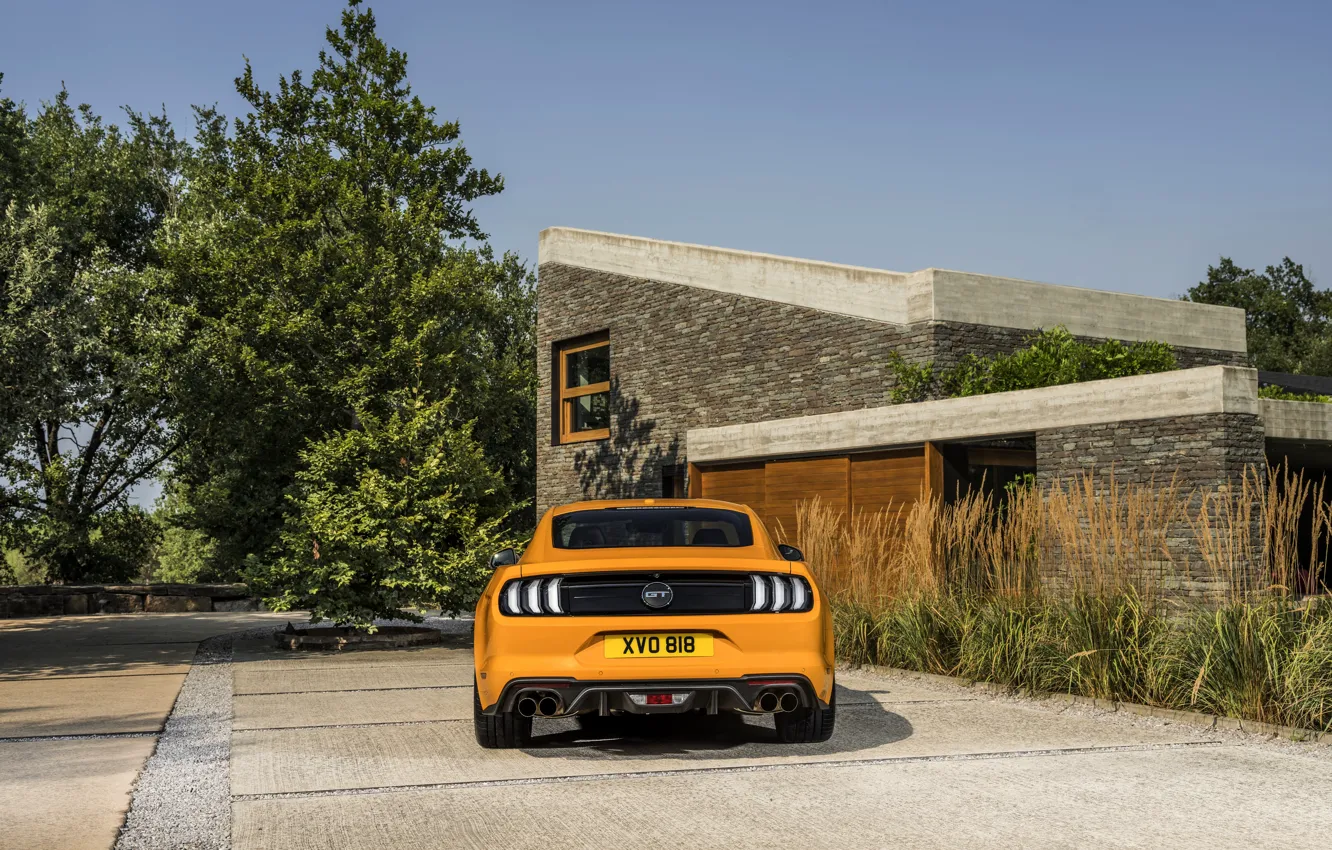 Фото обои оранжевый, Ford, стоянка, 2018, корма, фастбэк, Mustang GT 5.0
