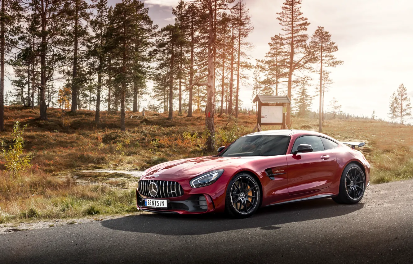 Фото обои Mercedes-Benz, AMG, GT R, 2019, by Håkon Sataøen