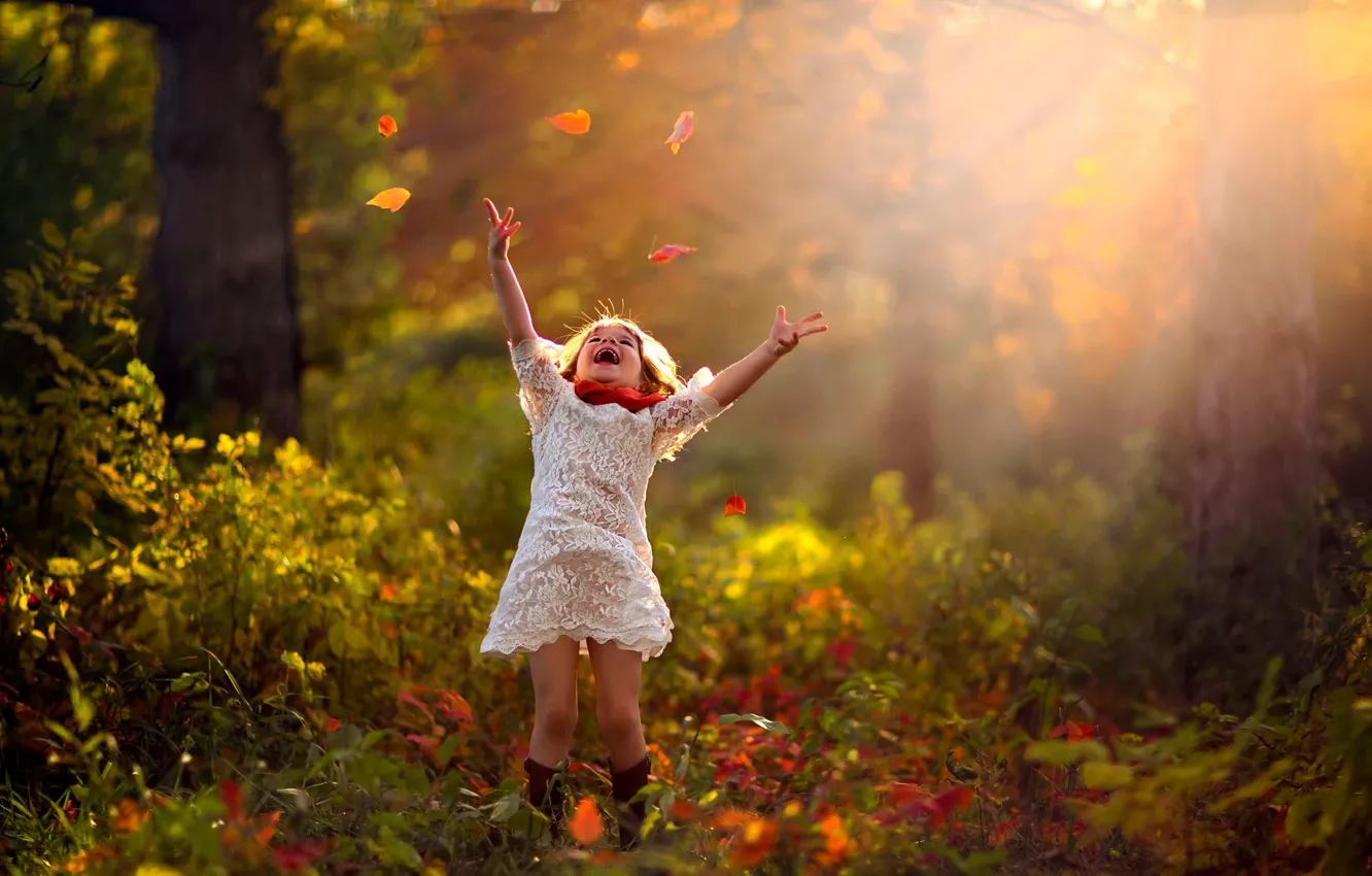 Фото обои осень, лес, листья, деревья, природа, ребенок, девочка