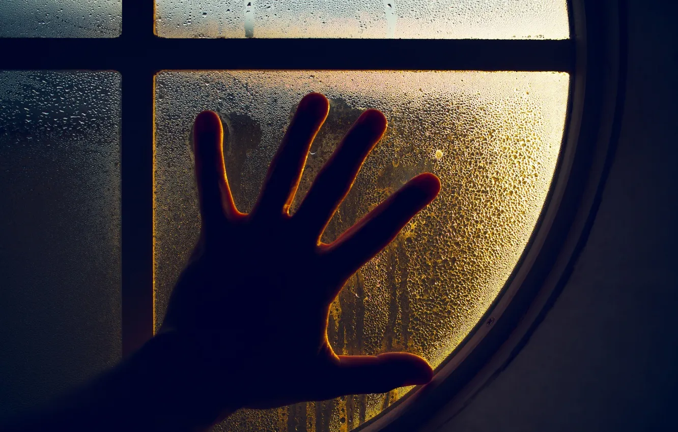 Фото обои стекло, капли, окно, Рука, пальцы, ладонь