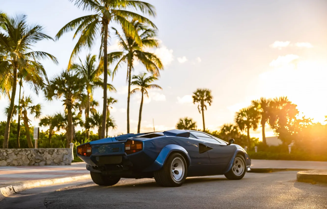Фото обои солнце, пальмы, Lamborghini, суперкар, Countach, ламборгини, LP5000 S, Lamborghini Countach LP500 S