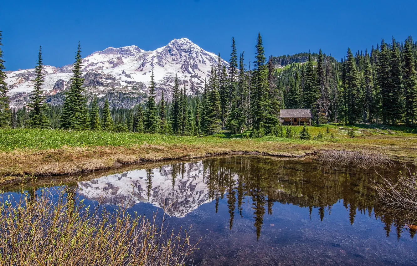 Фото обои лес, деревья, горы, озеро, отражение, домик, Mount Rainier National Park, Национальный парк Маунт-Рейнир