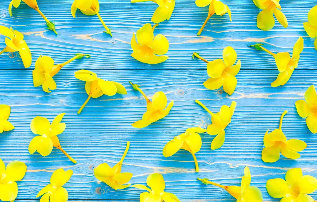Фото обои цветы, желтые, yellow, wood, blue, flowers, tropical, тропические