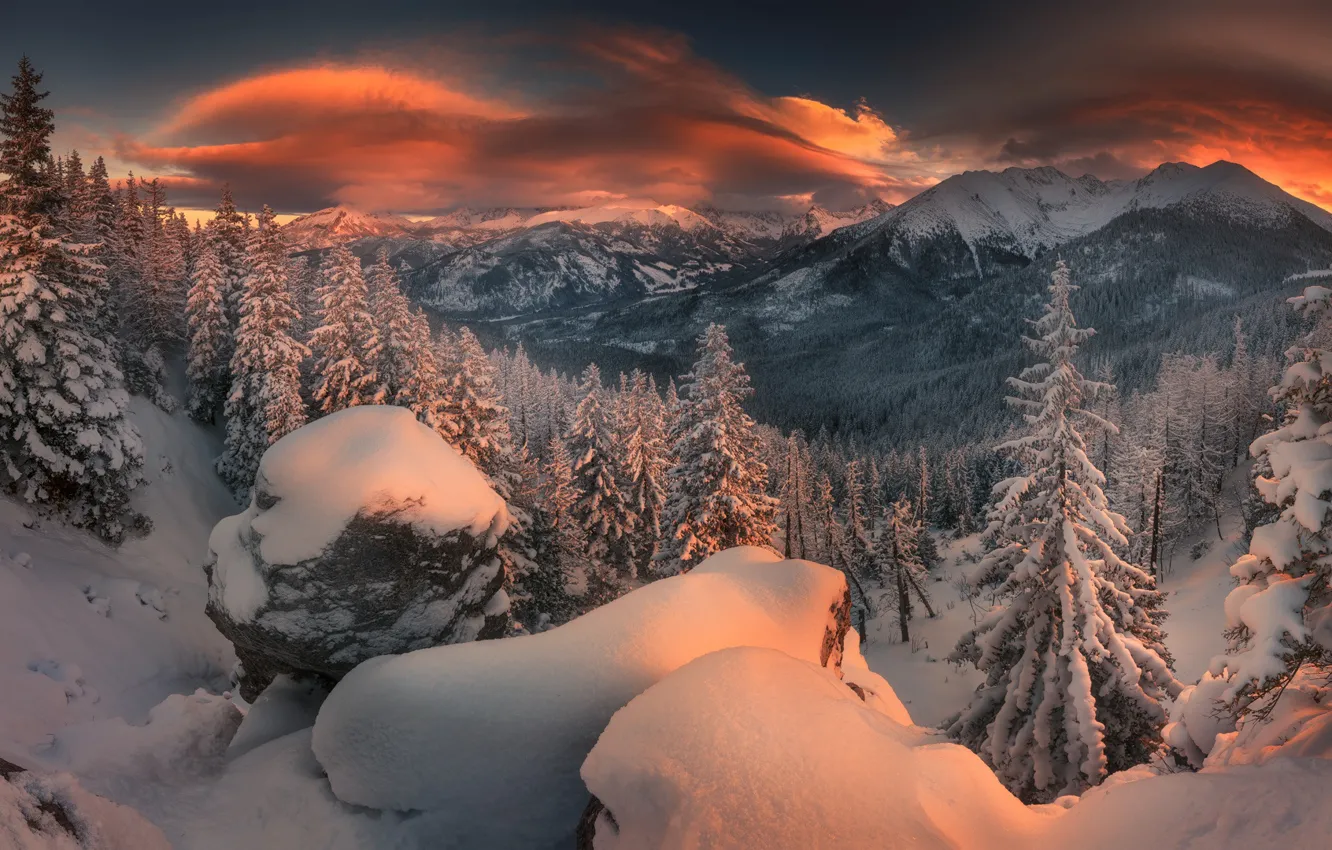 Фото обои зима, лес, снег, закат, горы, камни, ели, сугробы