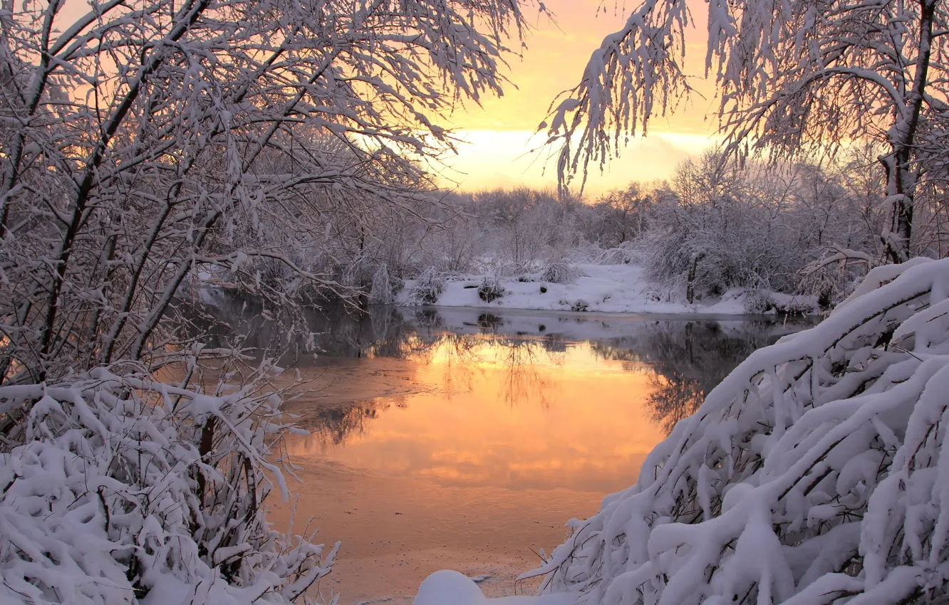Фото обои зима, снег, закат, природа