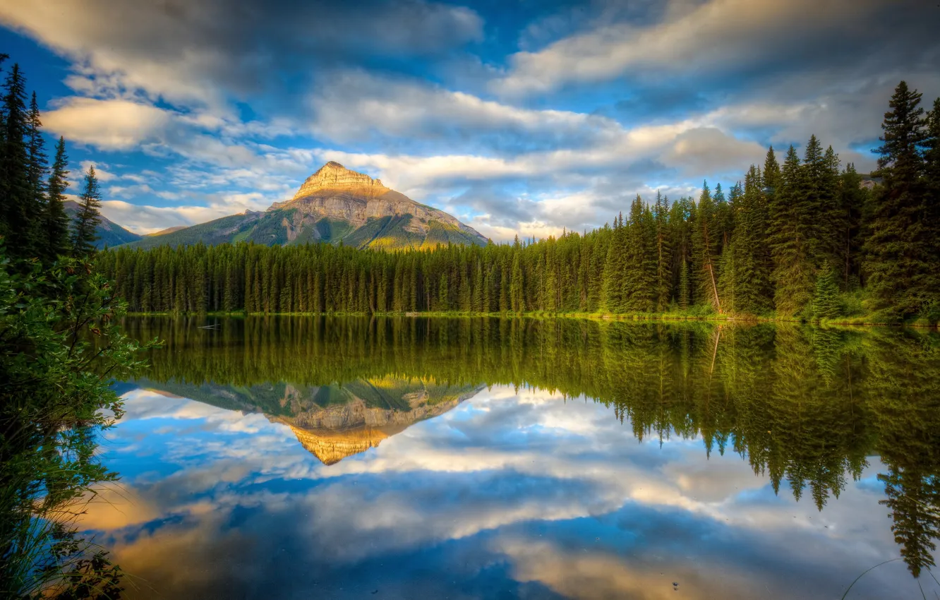 Фото обои лес, озеро, отражение, гора, Канада, Альберта, Banff National Park, Alberta