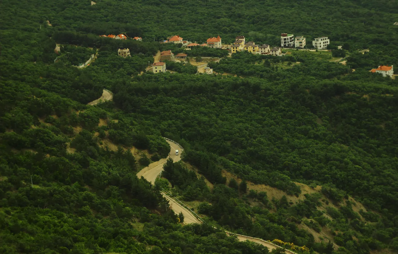 Фото обои дорога, деревья, высота, Крым