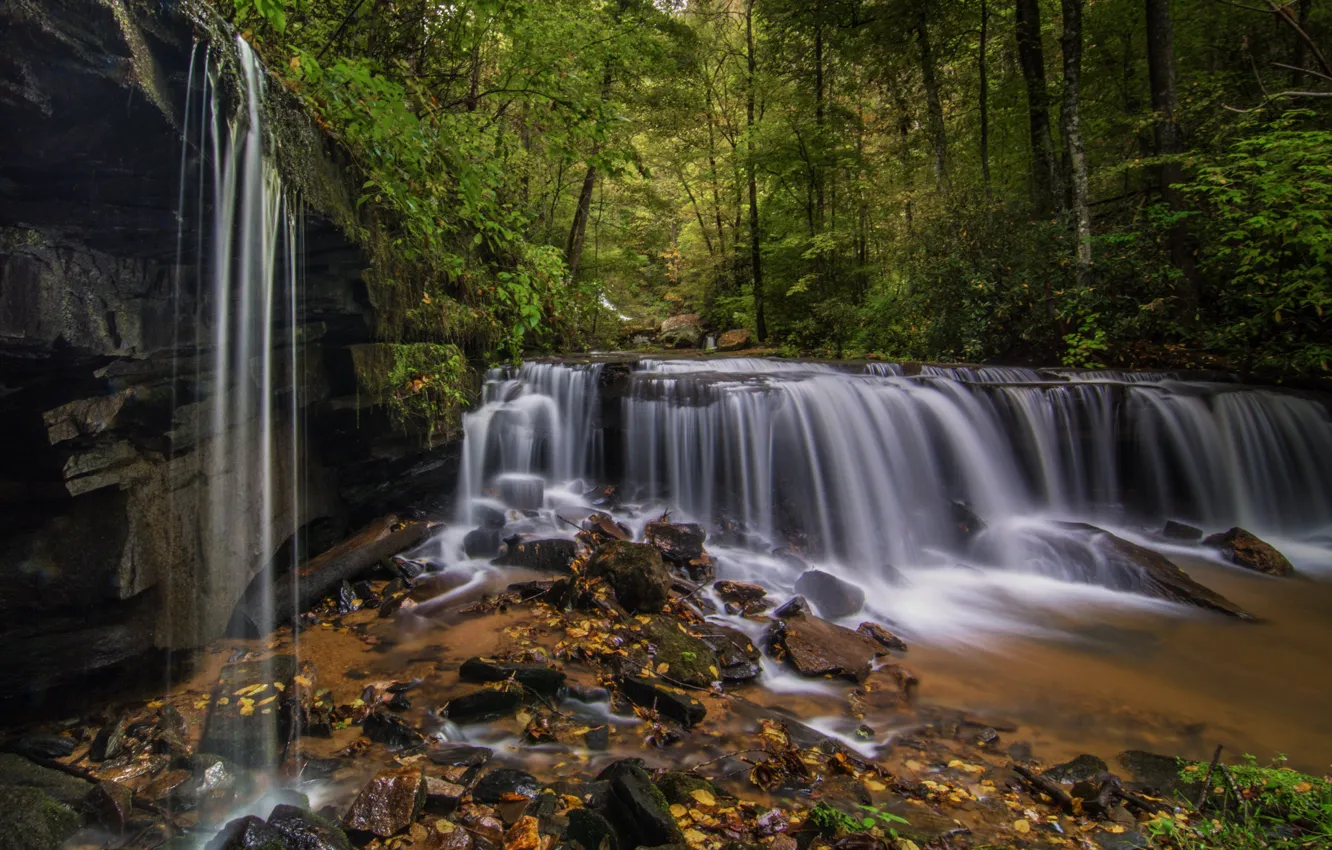 Фото обои лес, камни, водопад, каскад, North Carolina, Северная Каролина, Pearson's Falls, Салуда