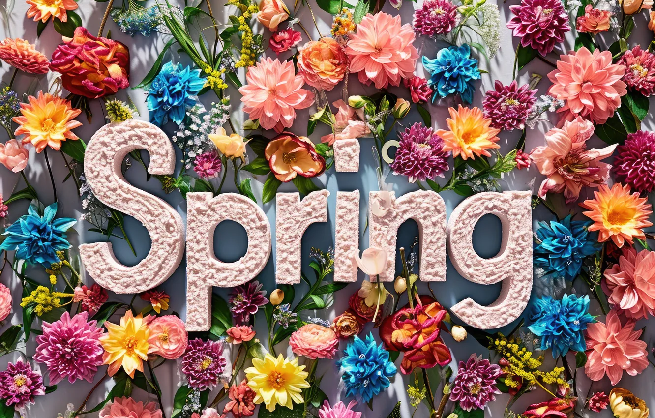Фото обои цветы, весна, colorful, flowers, spring