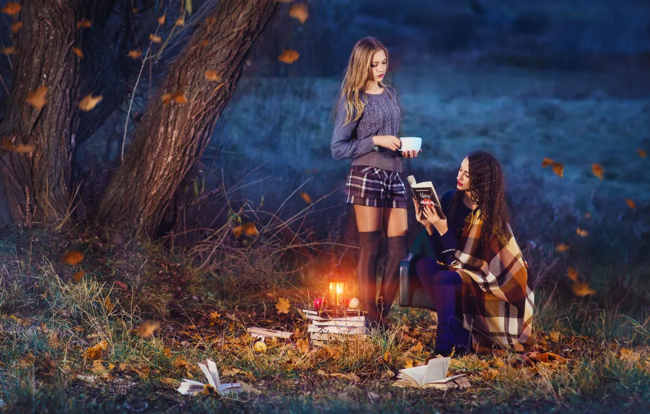 Фото обои осень, природа, девушки, книги