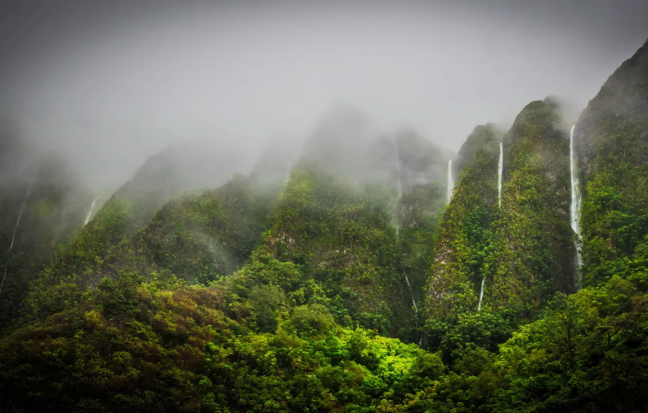 Фото обои горы, Гавайи, Hawaii, tropics, Oahu, водопады., Jungle Highhlands