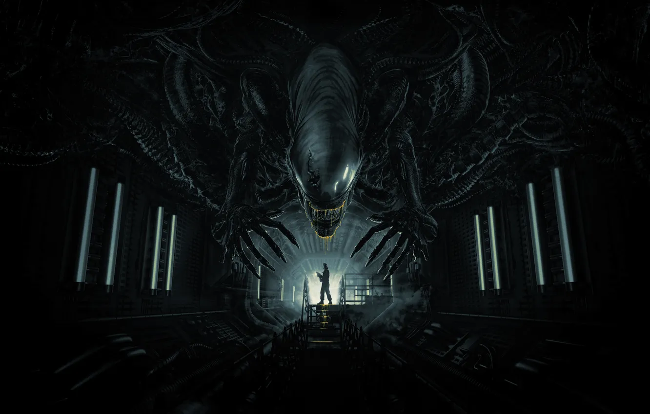 Фото обои человек, силуэт, Чужой, Alien: Romulus